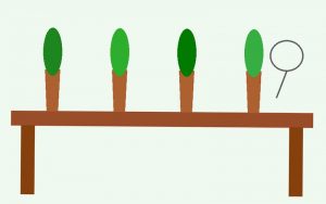 어린이집 자연관찰 코너 환경...